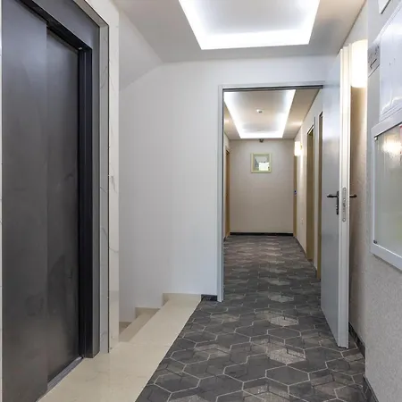 Domenic Free Parking