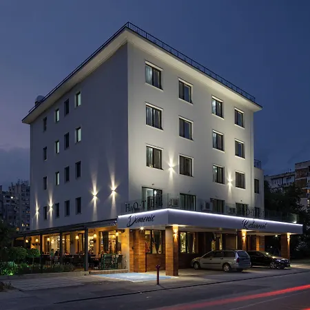 Domenic Free Parking