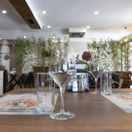 Domenic Free Parking