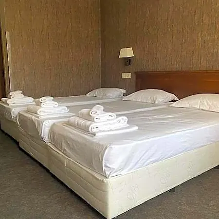 Domenic Free Parking 4* بلوفديف