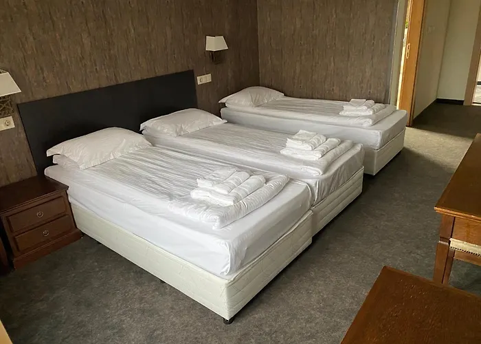 Domenic Free Parking 4* プロヴディフ