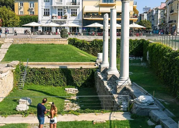 Domenic Free Parking